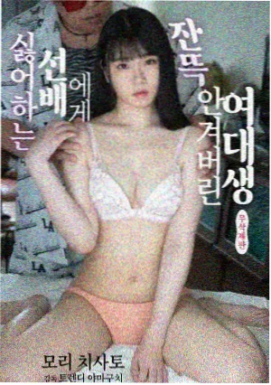 电视剧南方来信封面图
